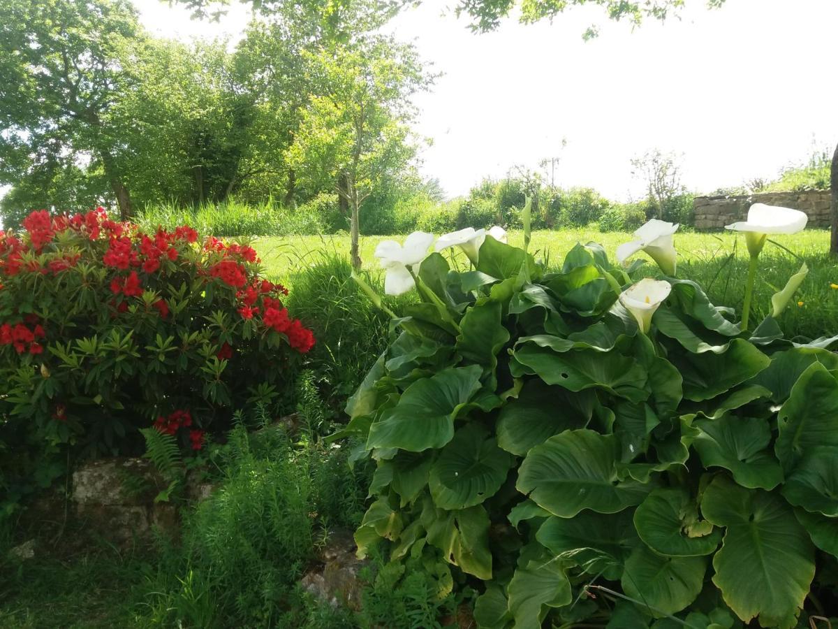 Holiday home De Rosvern *